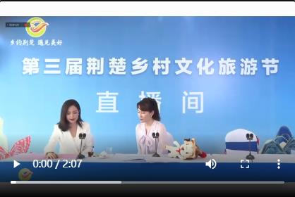 第三届荆楚乡村文化旅游节推荐我司产品
