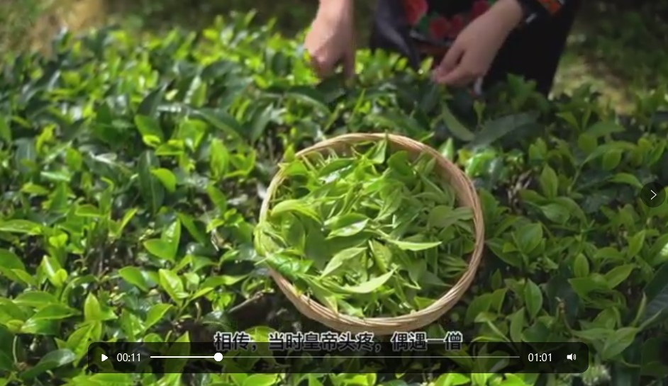 兰趣红茶