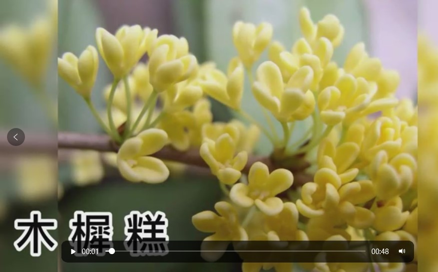 木樨糕